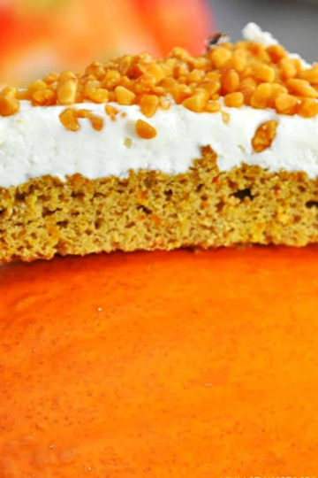 Low Carb Kürbiskuchen ohne Zucker und ohne Mehl! Das ist ein Kuchen ohne Kohlenhydrate mit Xucker Light bzw. Erythrit