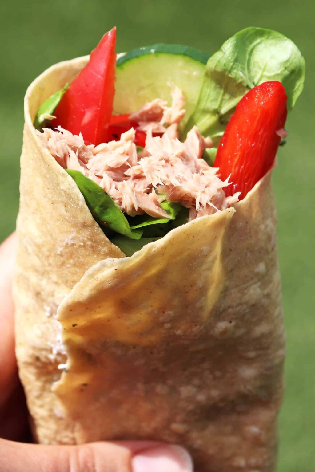 Wie Viele Kalorien Hat Ein Wrap Ohne Belag Low Carb Wraps selber machen - Staupitopia Zuckerfrei