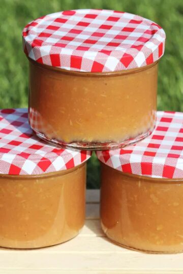 Apfelmus einkochen und konservieren