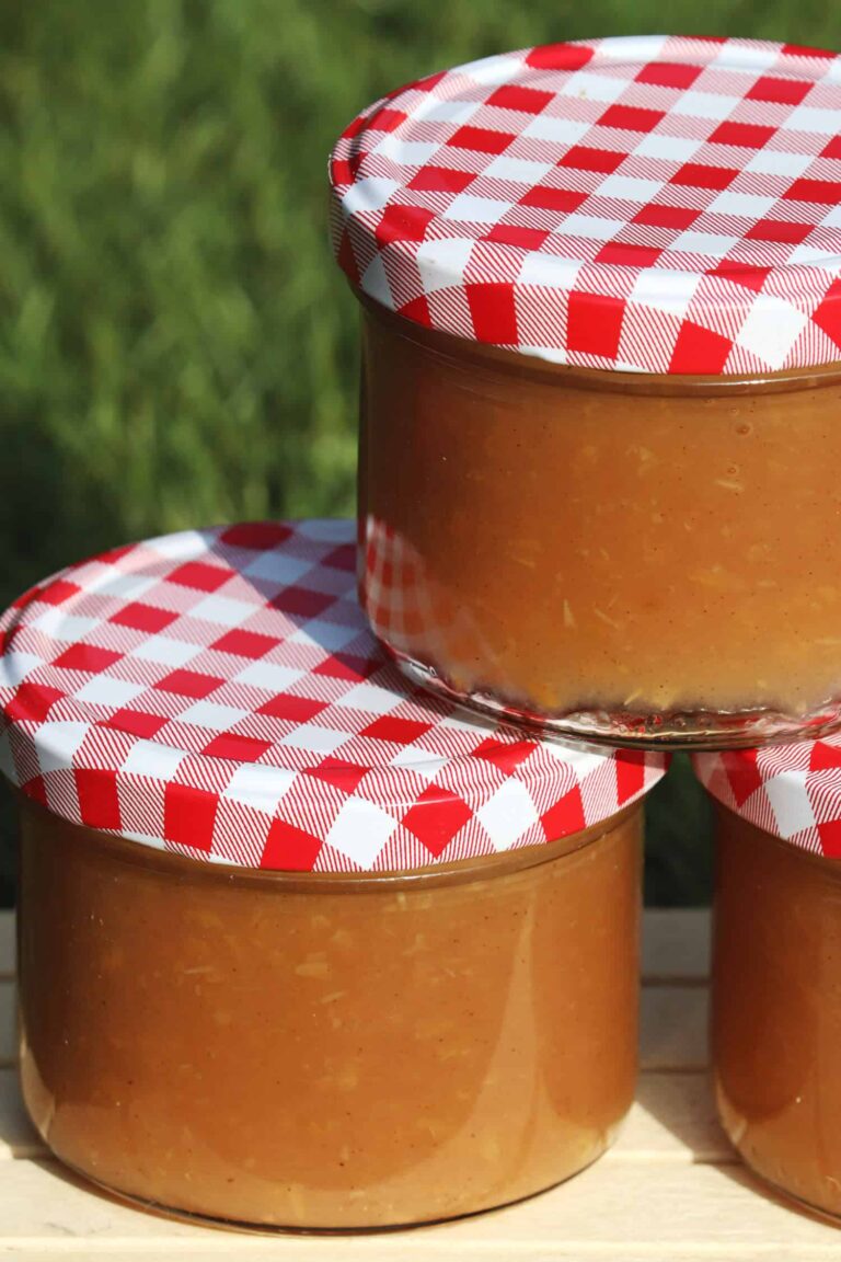 Apfelmus ohne Zucker selber machen - Staupitopia Zuckerfrei
