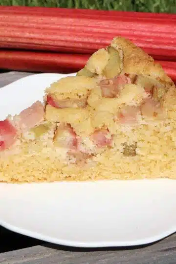 Low Carb Rhabarber Rezepte ohne Zucker