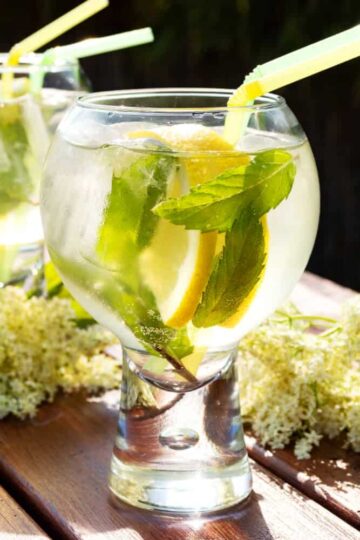 Low Carb Hugo selber machen ohne Zucker