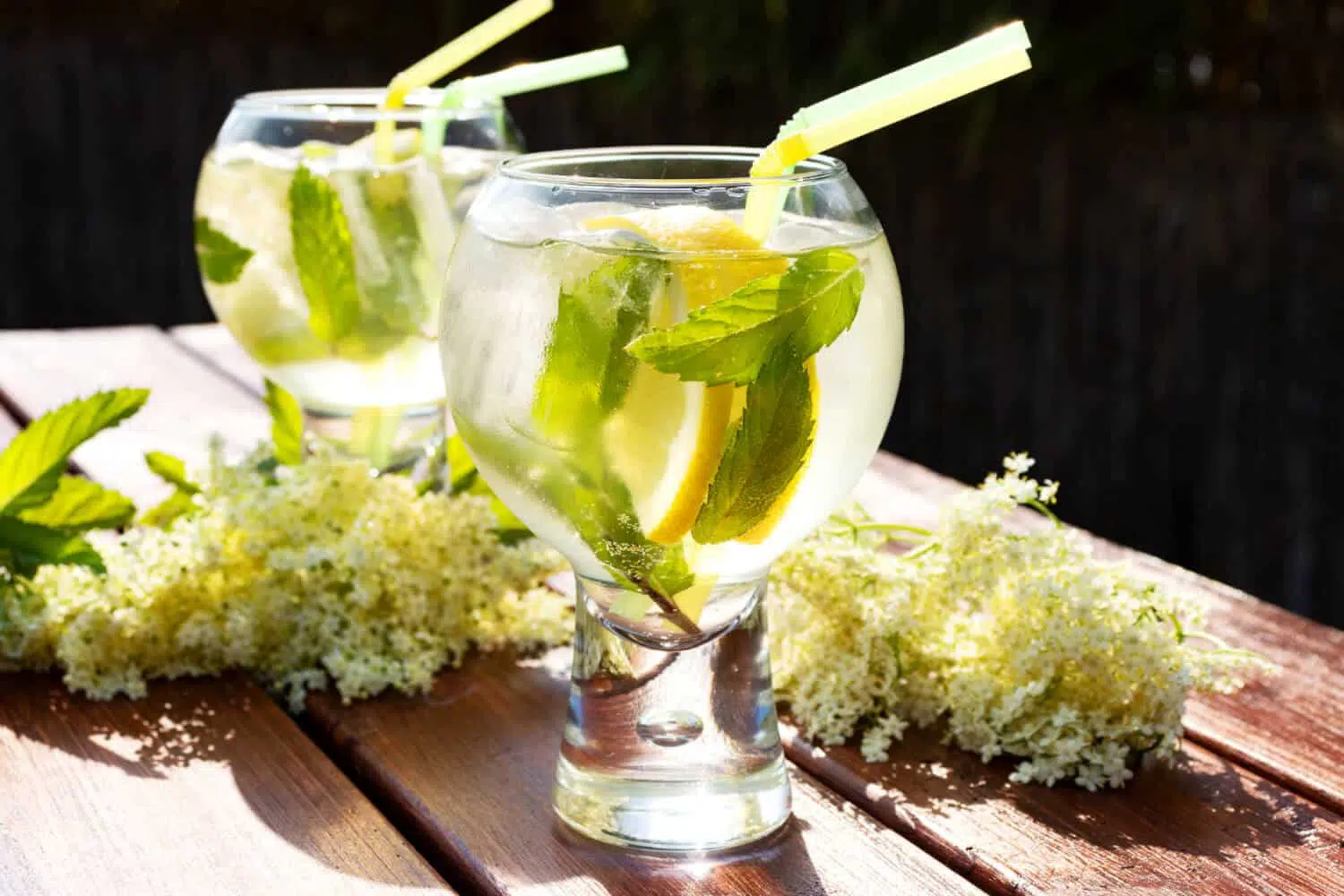 Low Carb Hugo selber machen ohne Zucker