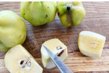 Zubereitung Quittengelee ohne Zucker Schritt 1