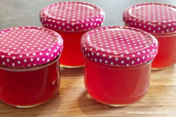 Zubereitung Quittengelee ohne Zucker Schritt 8