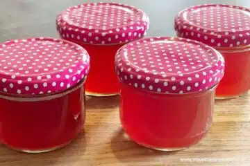 Zubereitung Quittengelee ohne Zucker Schritt 8