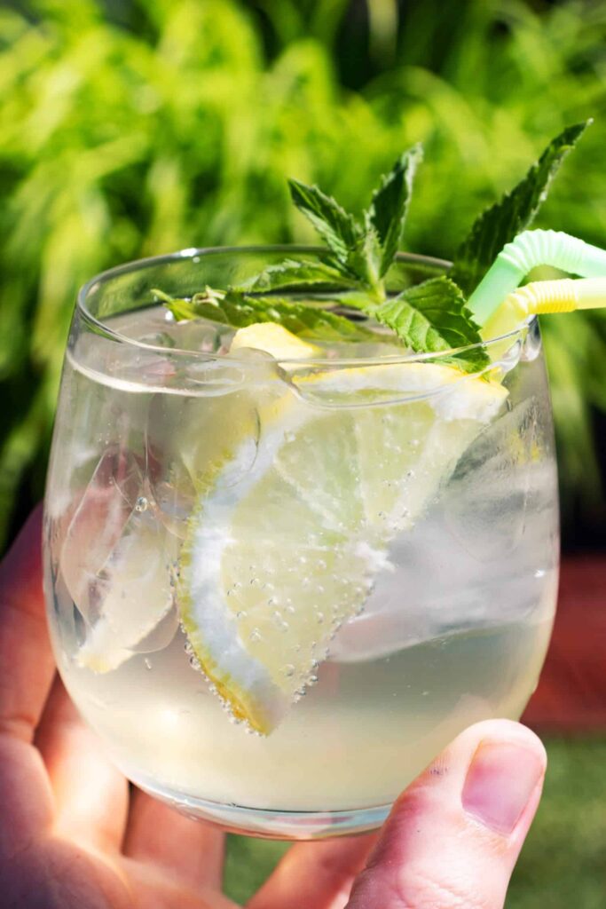 Ginger Ale ohne Zucker selber machen Staupitopia Zuckerfrei