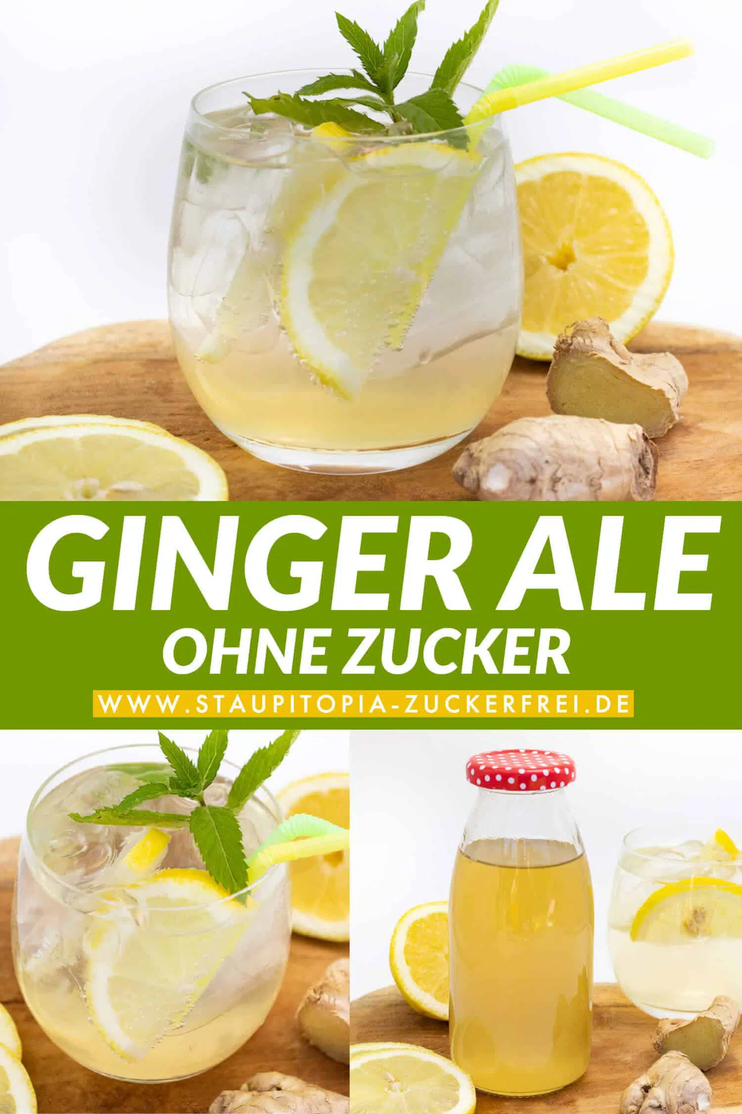 Gesundes Low Carb Ginger Ale ohne Zucker selber machen