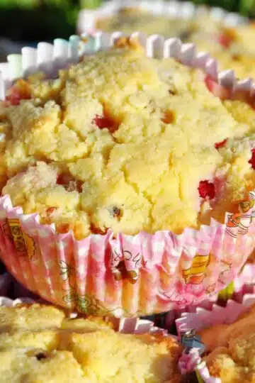 Low Carb Johannisbeer Muffins ohne Zucker Rezept