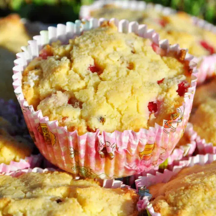 Low Carb Johannisbeer Muffins ohne Zucker Rezept