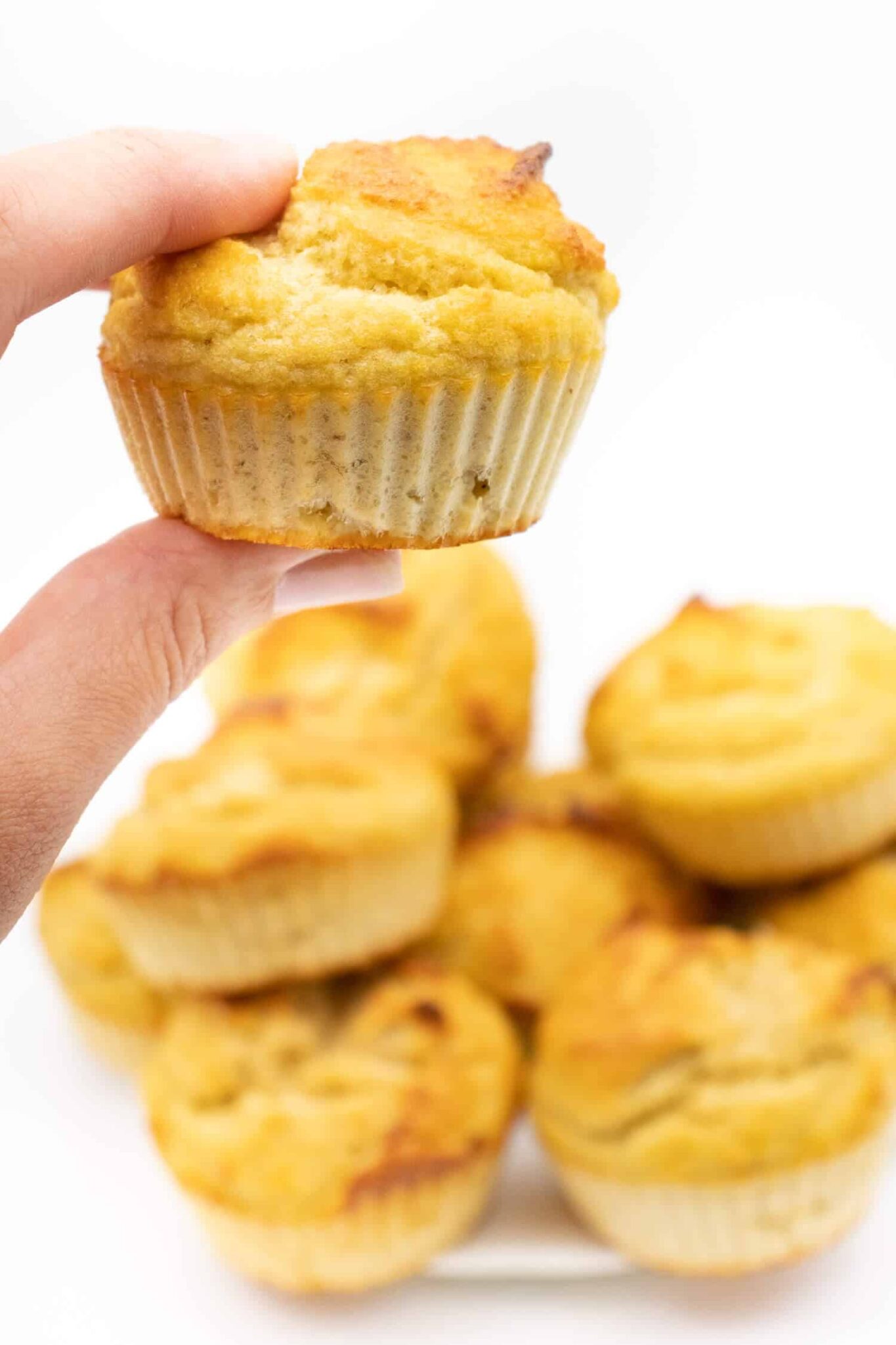 schneller saftiger kuchen mit apfelmus ohne zucker