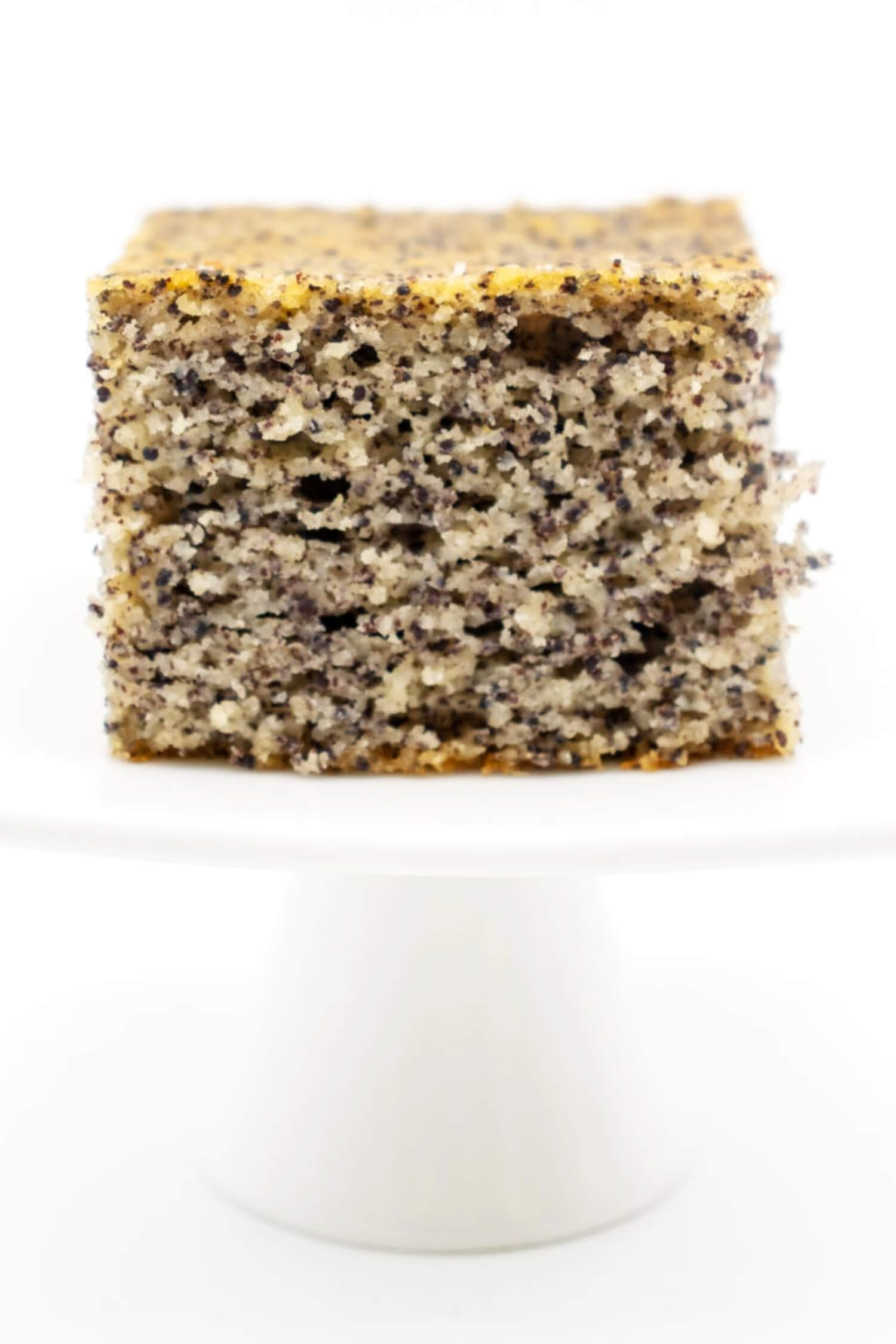 Low Carb Kuchen mit Quark proteinreich