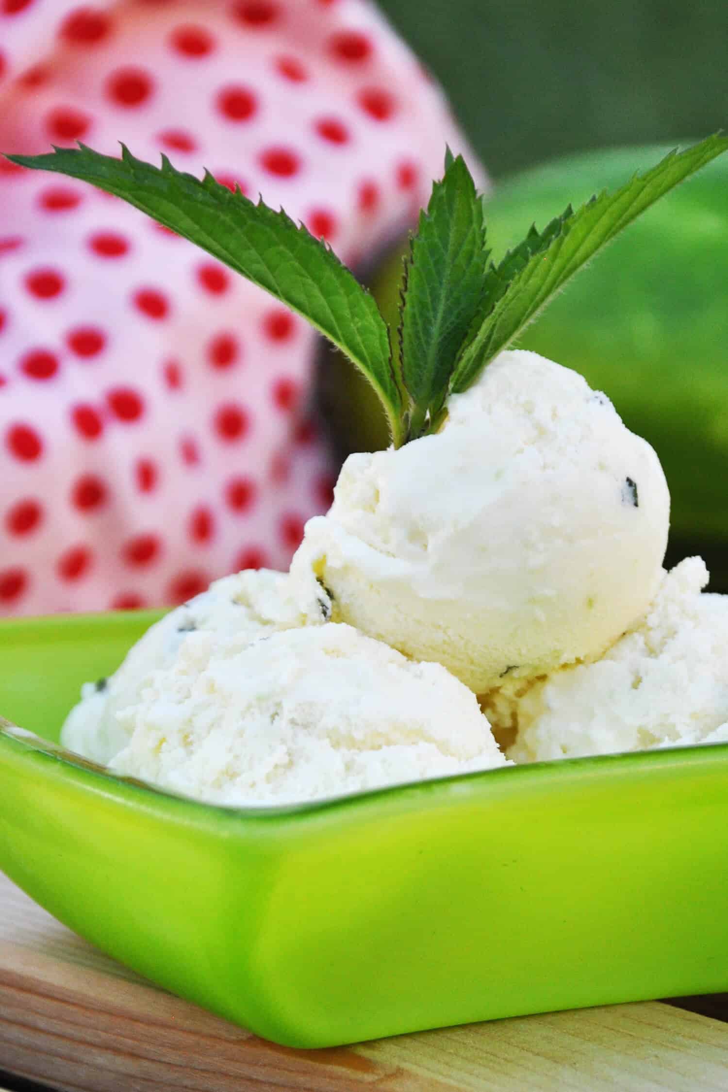 Gurkeneis selber machen gesund und ohne Zucker