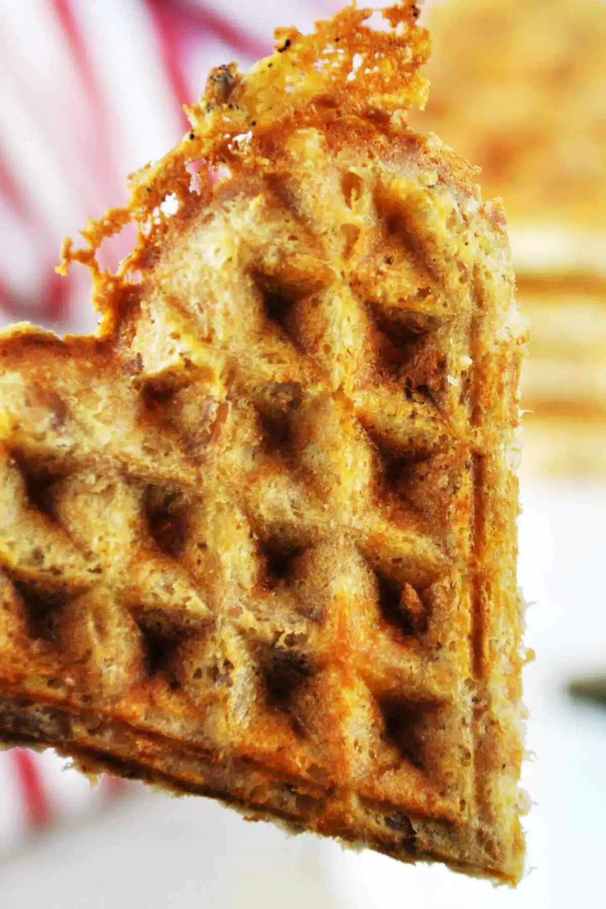 Herzhafte Waffeln Rezept mit Käse und Thunfisch