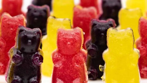 Low Carb Süßigkeiten ohne Zucker Rezepte