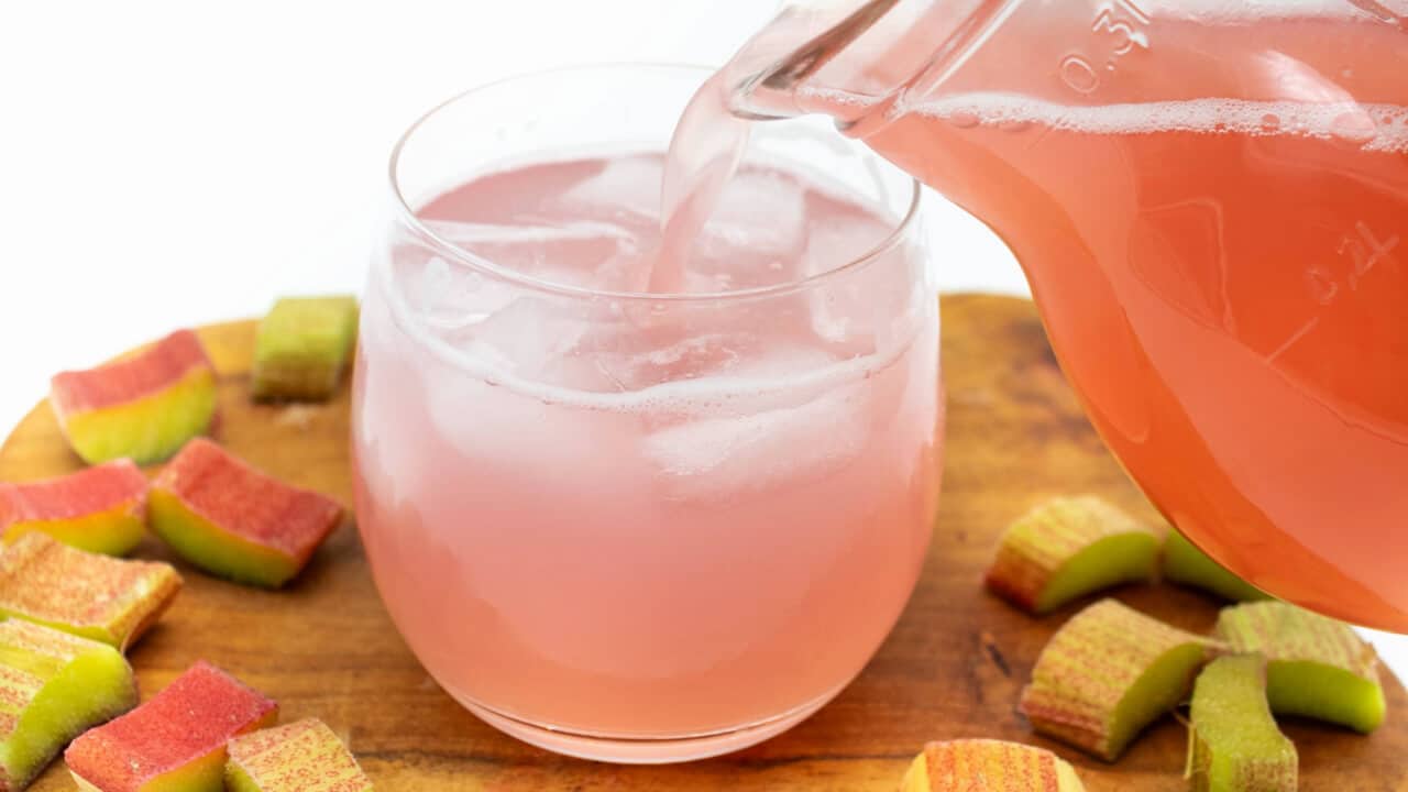 Rhabarbersaft selber machen ohne Zucker Rezept gesund