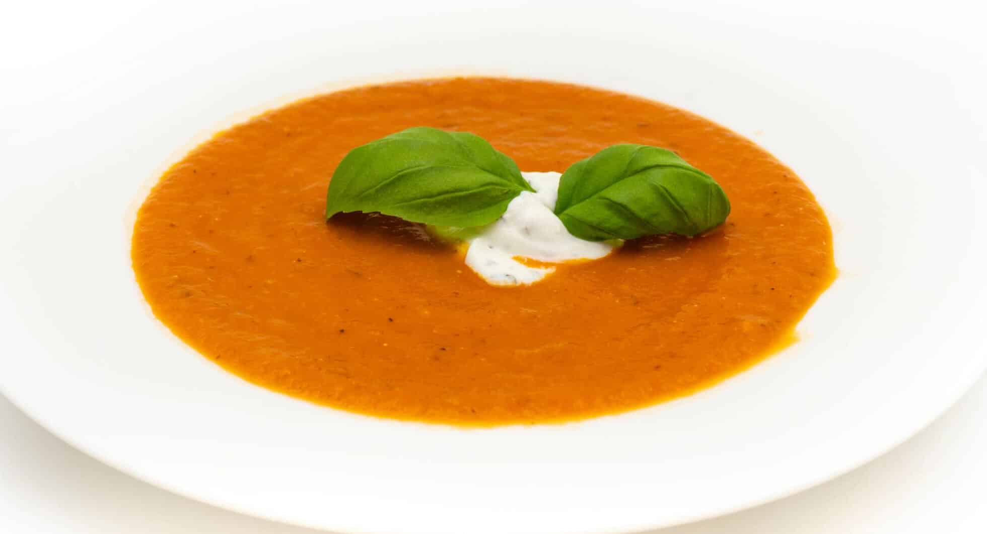 Kalorienarme Tomatensuppe Rezept aus frischen Tomaten