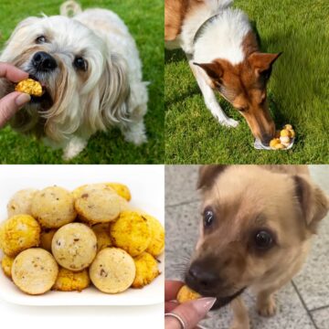 Gesunde Hundekekse ohne Getreide