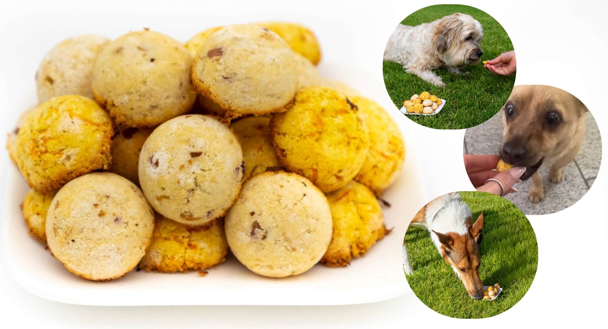 Gesunde Hundekekse ohne Getreide selber backen einfach