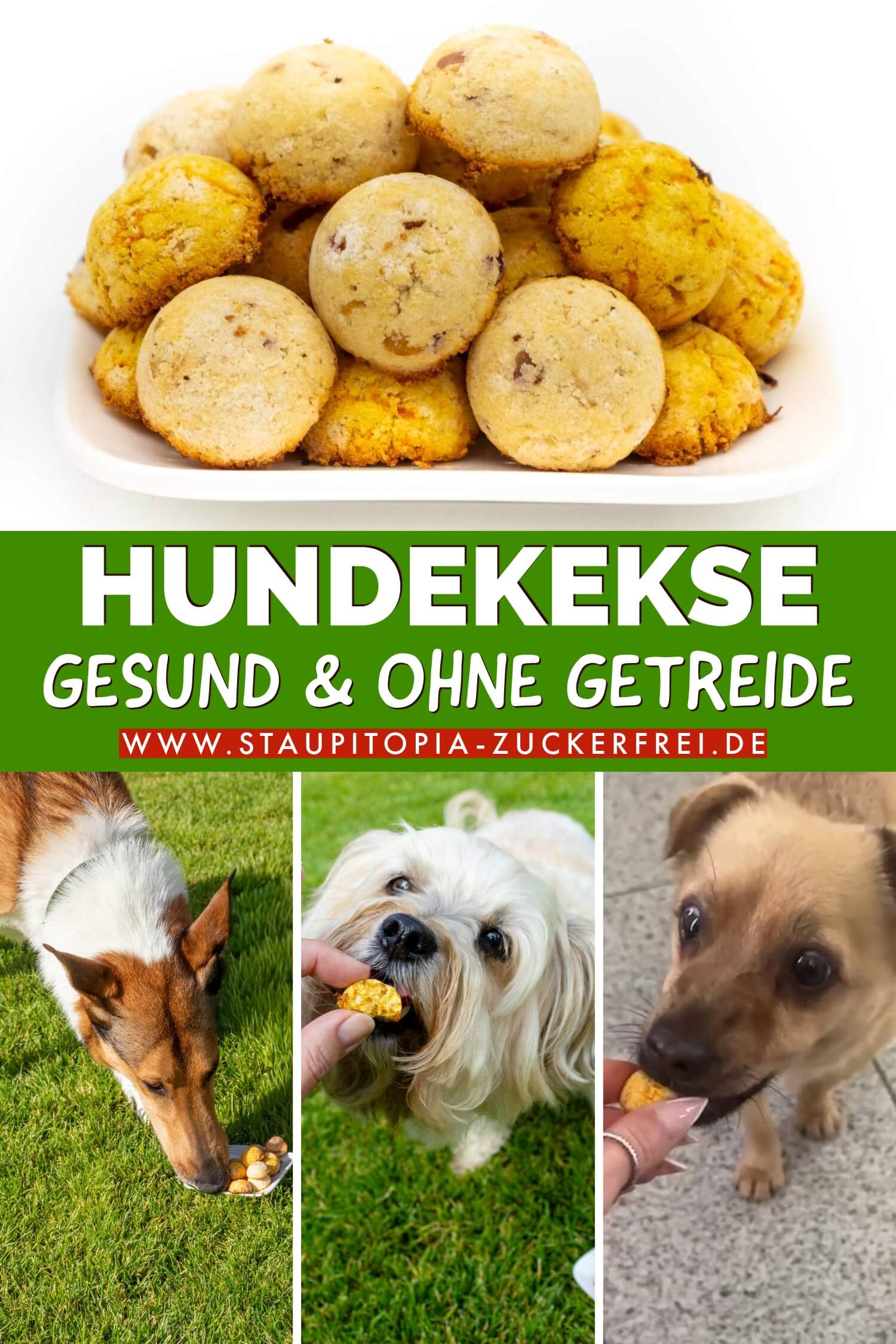 Gesunde Hundekekse ohne Getreide und ohne Zucker selber backen