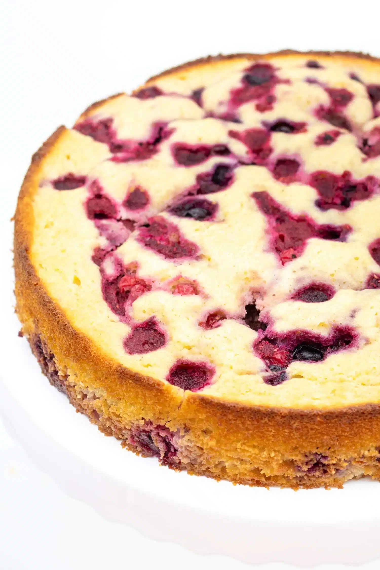 Protein Kuchen mit Quark und Beeren