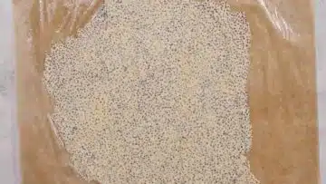 1-2-3 Brot ohne Zucker Teig kneten