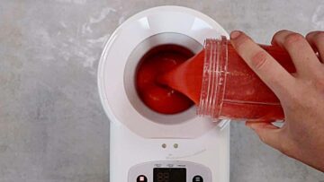 Erdbeersorbet ohne Zucker: Einfrieren