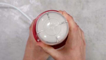 Erdbeersorbet ohne Zucker: Pulverisieren