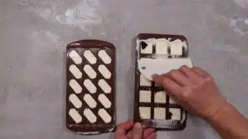 Erfrischungsstäbchen selber machen ohne Zucker: Einfrieren