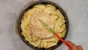 Gesunder Apfelkuchen schichten