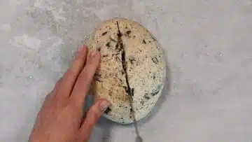 Low Carb Körnerbrot ohne Mehl formen