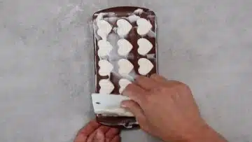 Low Carb Quark Pralinen einfrieren