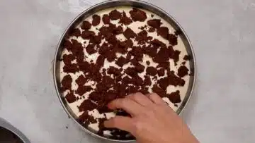 Low Carb russischer Zupfkuchen ohne Zucker Zupfen verteilen