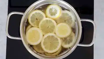 Zitronensirup selber machen ohne Zucker: Ruhen