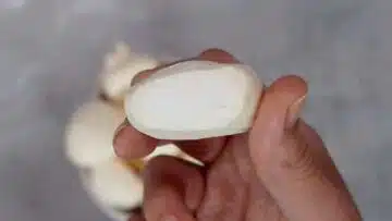 Baiser ohne Zucker: Trocknen