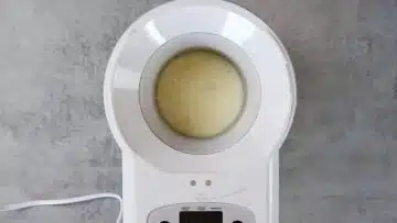 Buttermilch Zitronen Eis selber machen ohne Zucker: Einfrieren