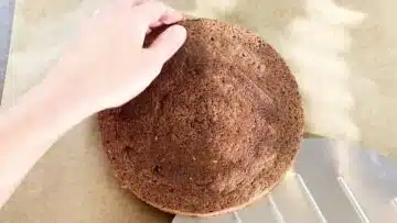 Glutenfreier Low Carb Tortenboden ohne Zucker: Backen