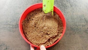 Glutenfreier Low Carb Tortenboden ohne Zucker: Umfüllen