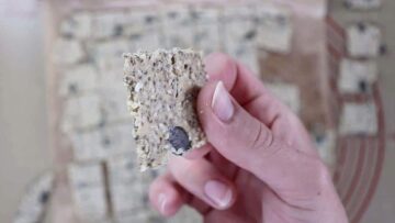 Low Carb Cracker: Trocknen