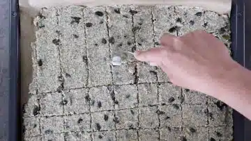 Low Carb Cracker: Vorschneiden