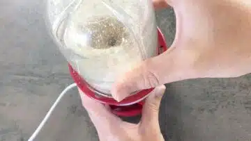 Low Carb Kuchenboden: Mahlen