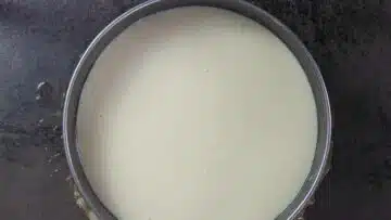 Low Carb Puddingkuchen ohne Zucker: Gießen