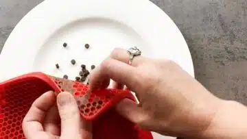 Low Carb Schokodrops ohne Zucker: Lösen