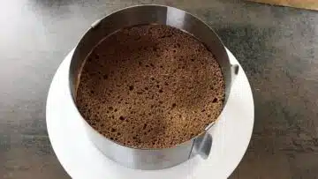 Low Carb Schokotorte ohne Zucker: Einstreichen