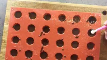 Low Carb Toffifee ohne Zucker: Formen