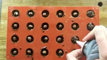 Low Carb Toffifee ohne Zucker: Füllen