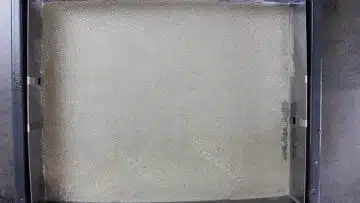 Low Carb Zitronenkuchen vom Blech: Vorbereiten