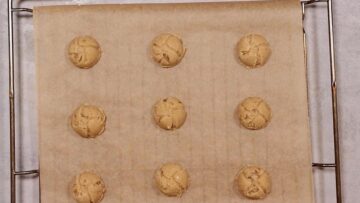 Schneebälle ohne Zucker: Formen