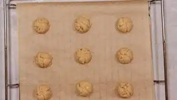 Schneebälle ohne Zucker: Formen