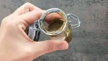 Vanillepaste selber machen: Aufbewahren